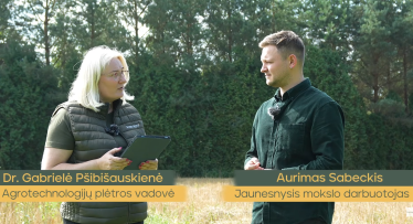  Kodėl svarbu rinktis beicuotas sėklas?